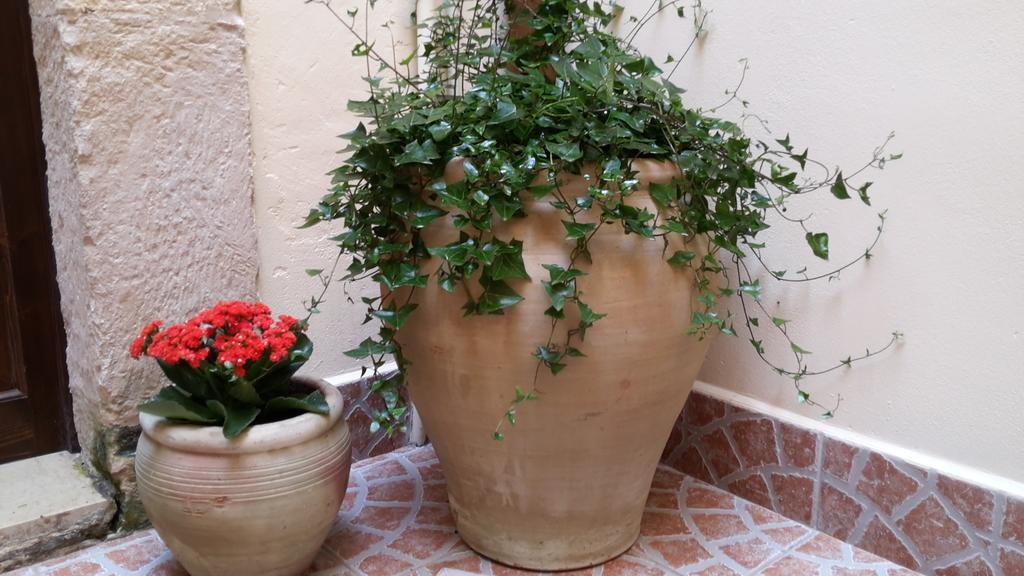 Appartement Casa Bidduzza *